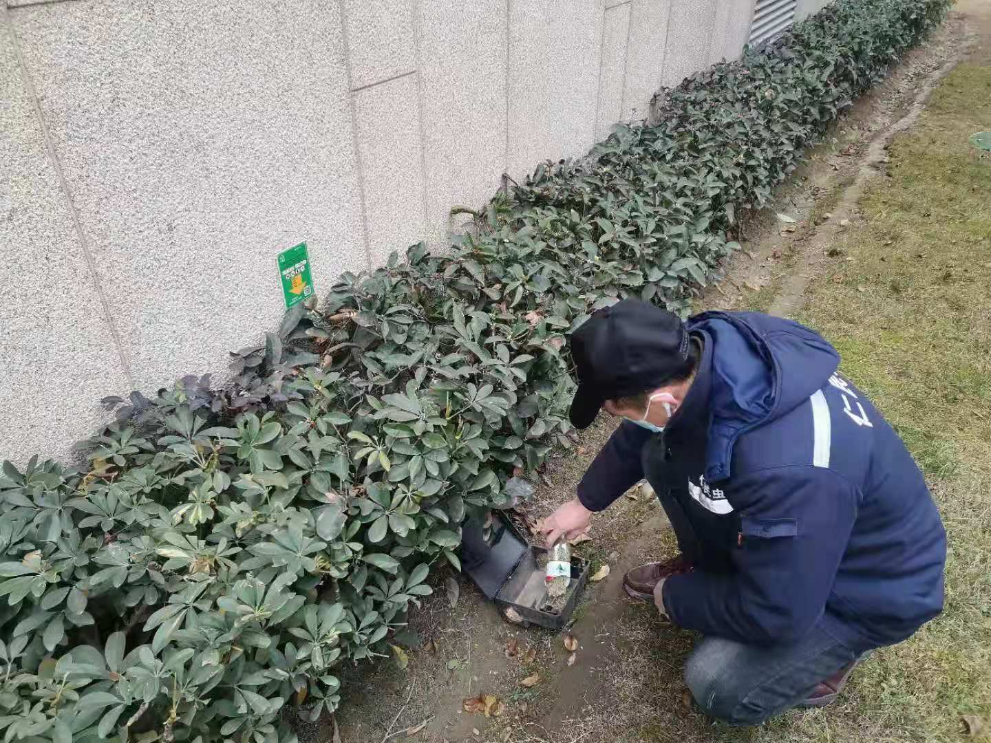 厂汉饭店灭虫方法 上门杀虫