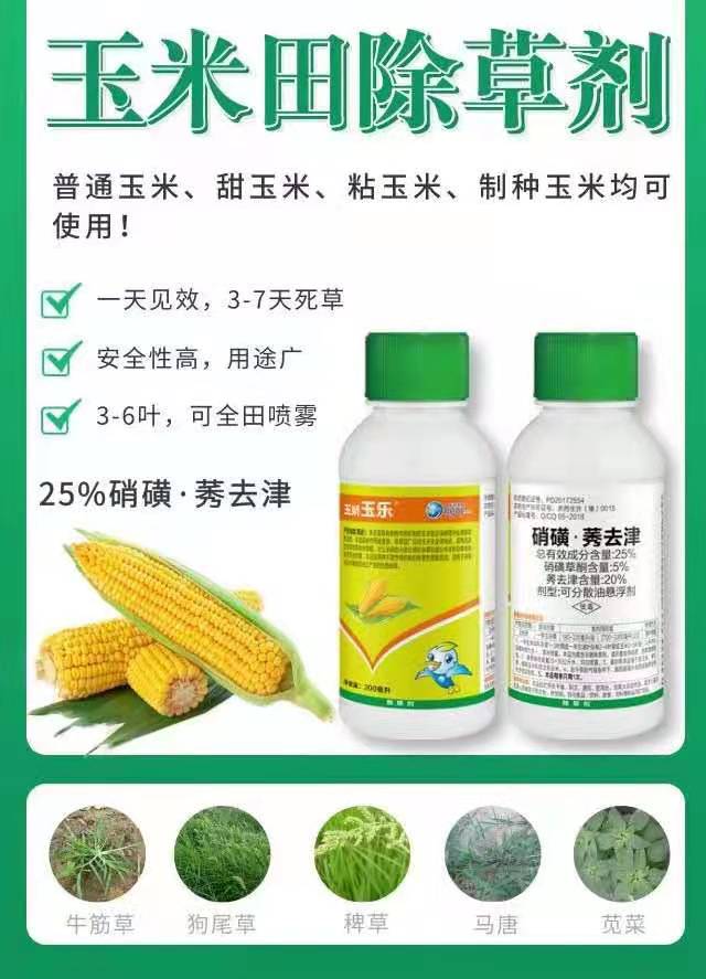 漢中甜糯玉米除草劑生產廠家