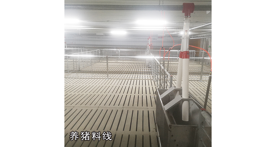 上海养殖设备赛盘料线 信息推荐 泊头市华农农牧机械供应