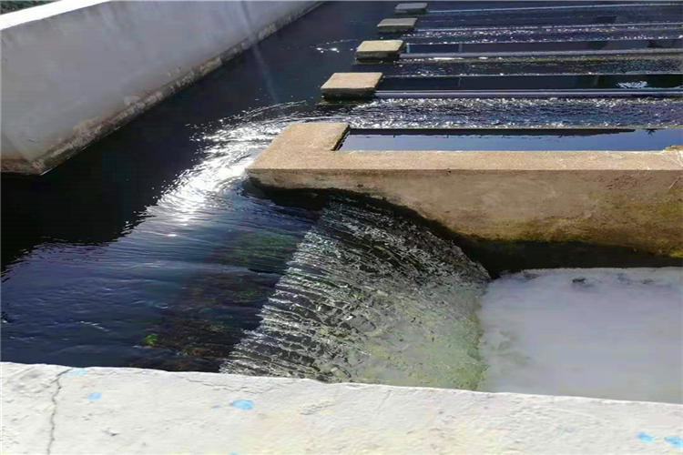 屠宰场废水处理工艺流程图 出水包达标 白山成套屠宰废水处理设备厂家