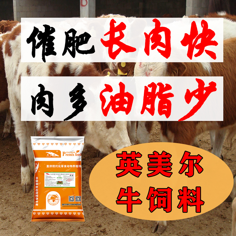 肉牛预混饲料配方 肉牛日长4斤精料配方 肉牛快速育肥的秘诀