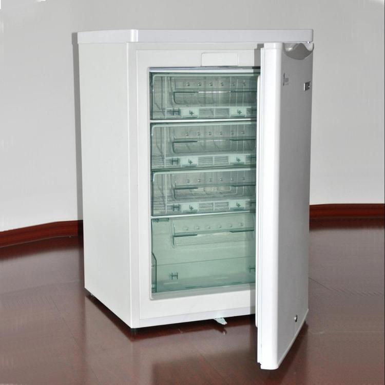 菌種凍存低溫冰箱 零下30度低溫冰箱 試劑保存箱