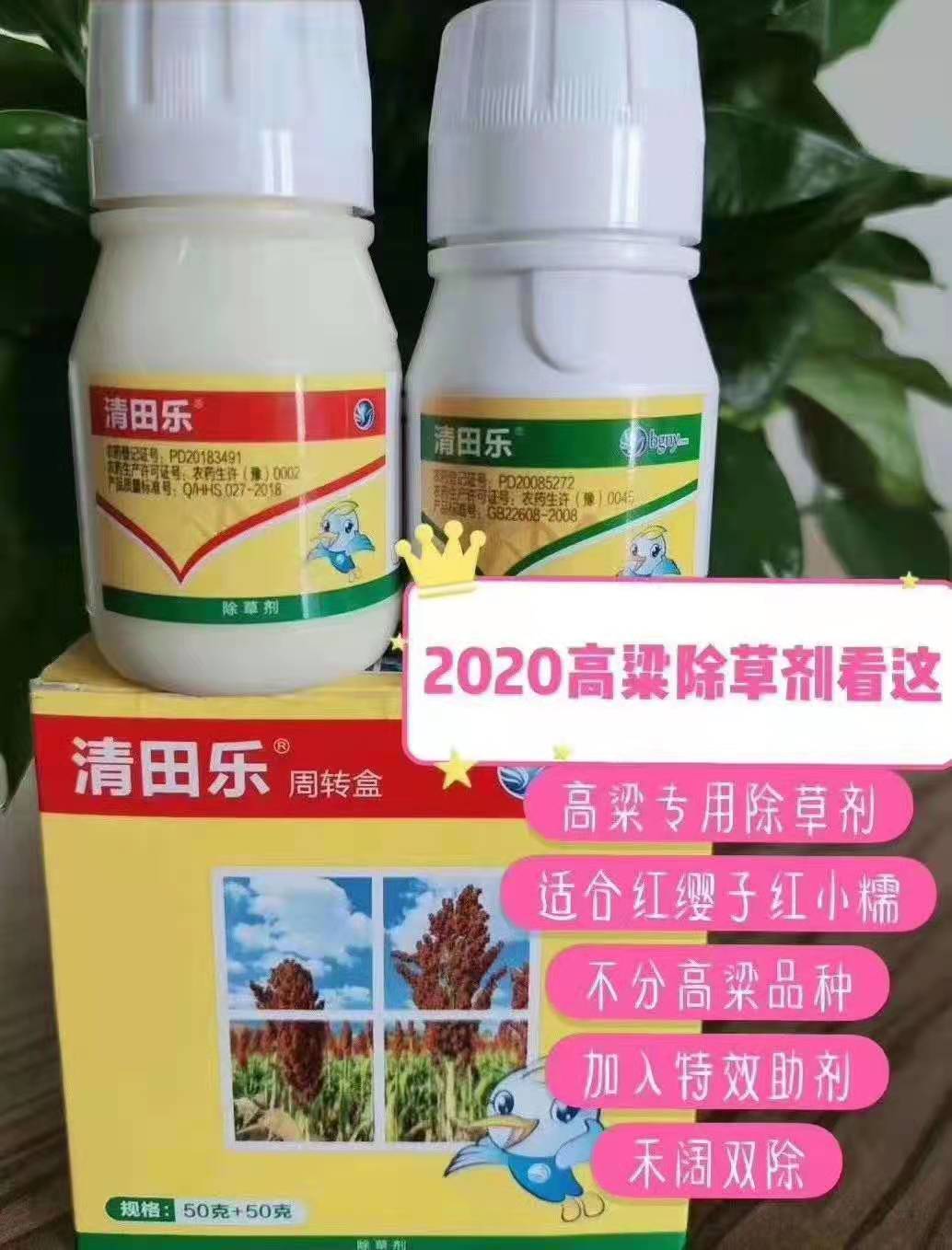 高粱苗后除草技术