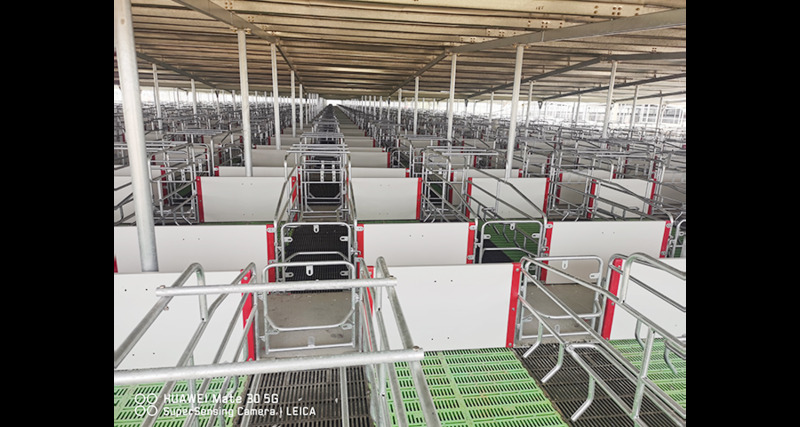 河北猪用养殖设备厂家定制 铸造辉煌 泊头市华农农牧机械供应