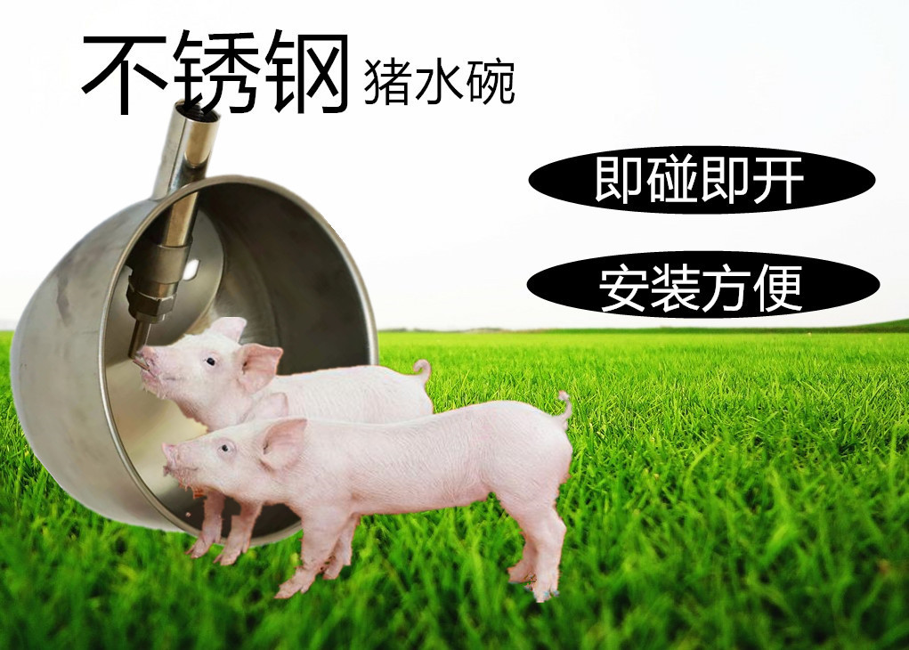 猪用喝水碗不锈钢喝水碗介绍