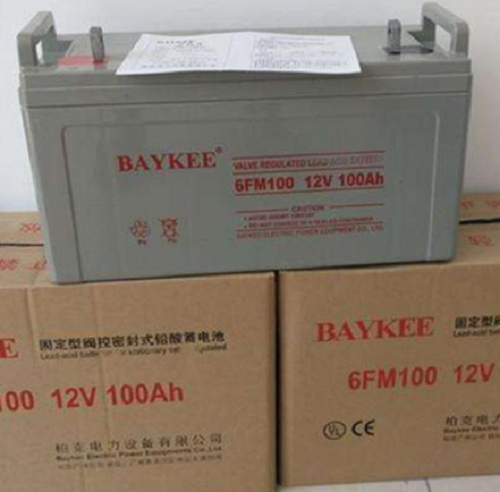 BAYKEE柏克蓄电池2V500AH系列含税运报价