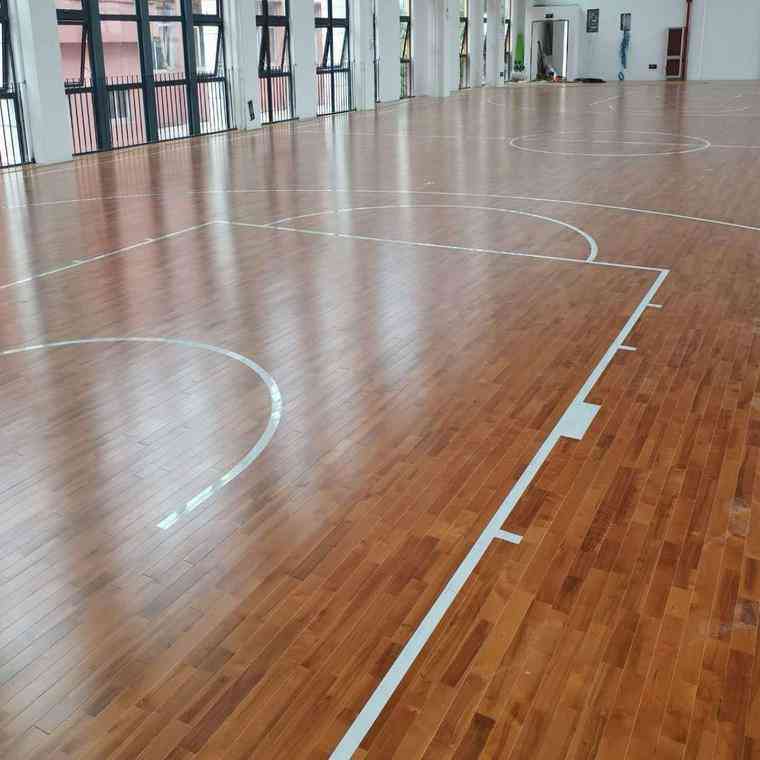篮球馆体育运动木地板