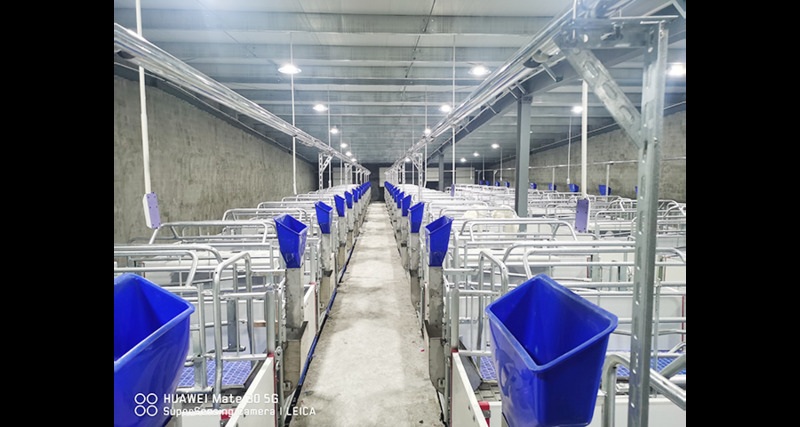南京自动化养猪设备公司 贴心服务 泊头市华农农牧机械供应