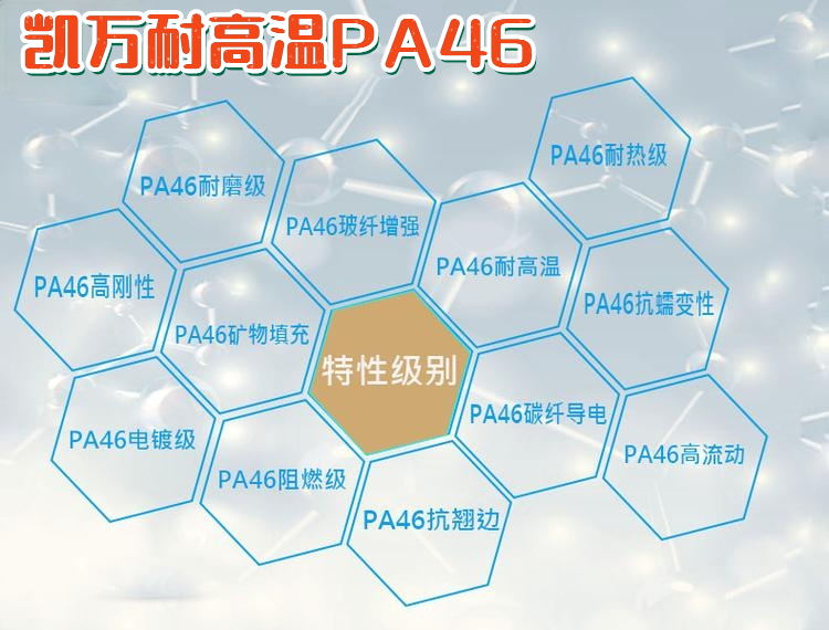 PA46荷兰DSM TS200F8