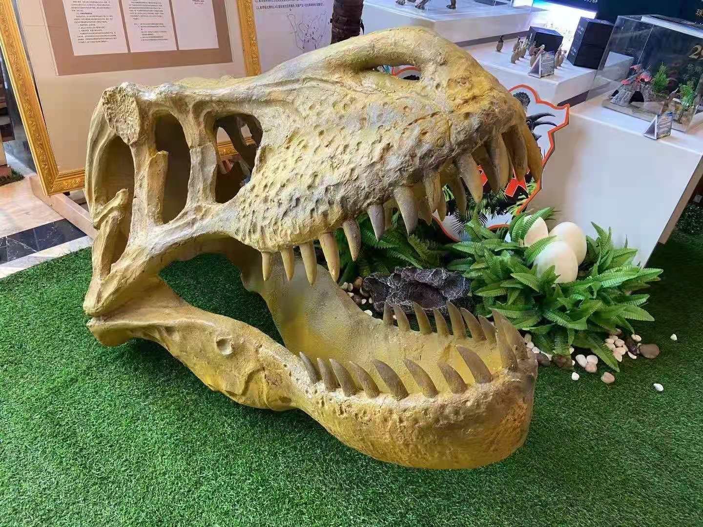 天津恐龙模型出租电话 仿真恐龙出租