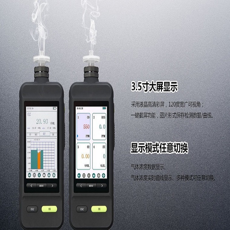 哈尔滨经济型手持式臭氧速测仪,便携式臭氧测验仪