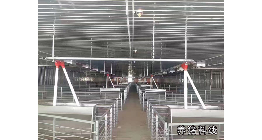 上海母猪料线 铸造辉煌 泊头市华农农牧机械供应