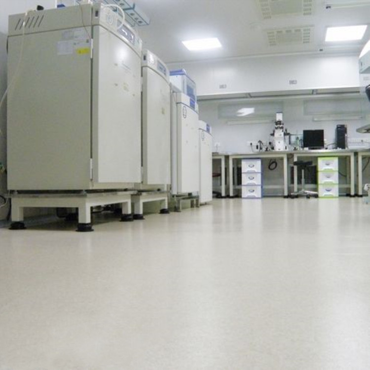 供应实验室防酸碱地胶；实验室防静电地板