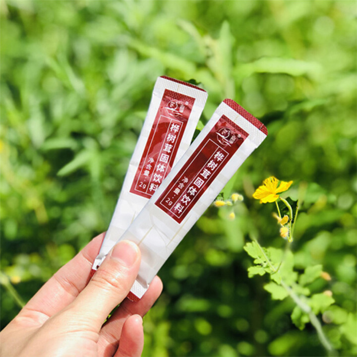 巴彥淖爾白樺茸片