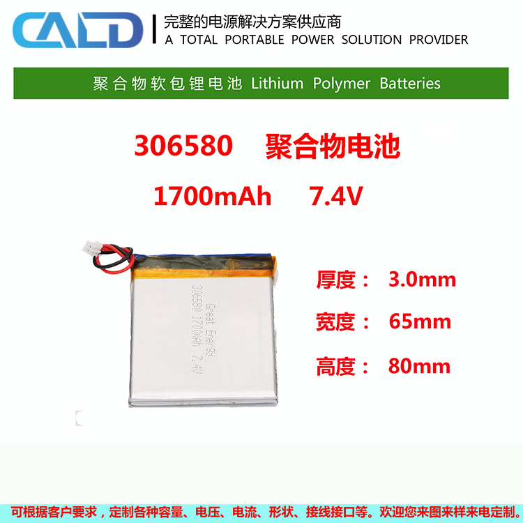 306580P-1700-7.4联动工业锂电池组