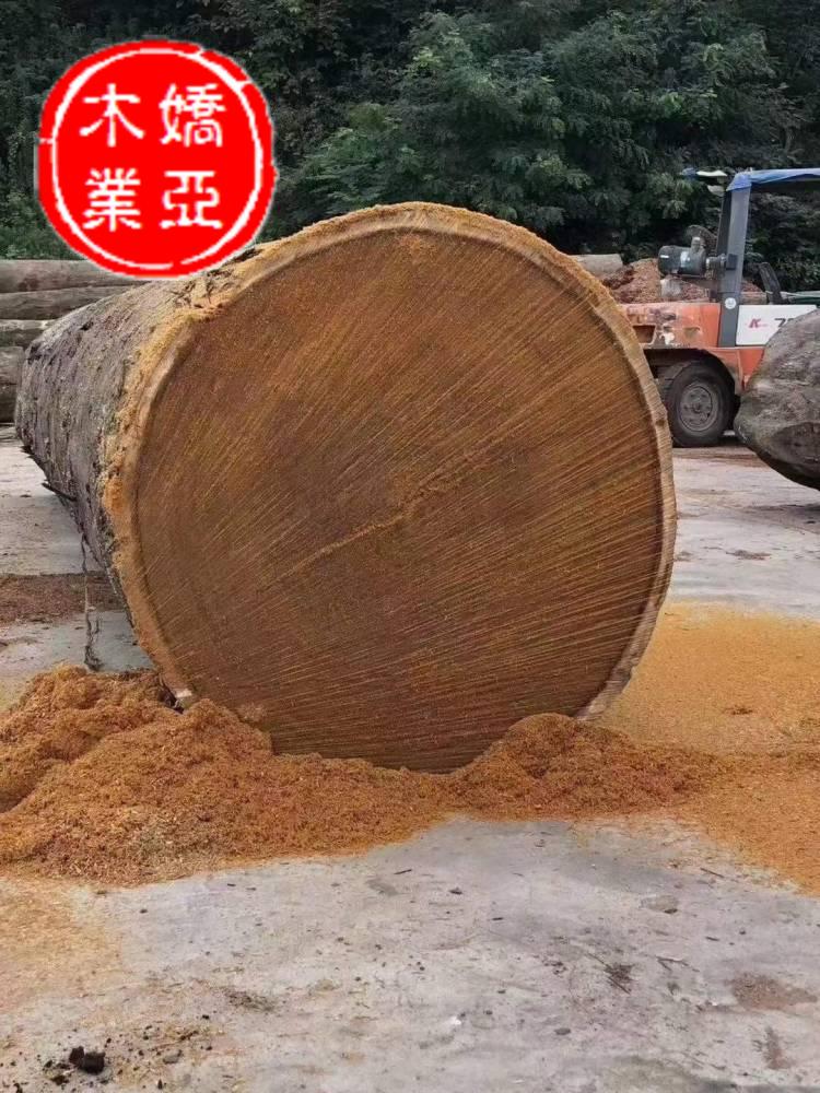 红梢木木柱 红梢木原木单价 环保木材