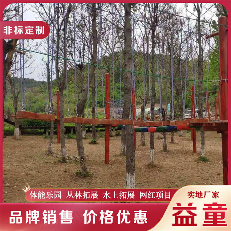 景区丛林拓展设施 丛林网红吊桥 城区农庄丛林穿越场地勘测