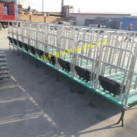 养猪设备限位栏采用一寸优质钢管结构焊接