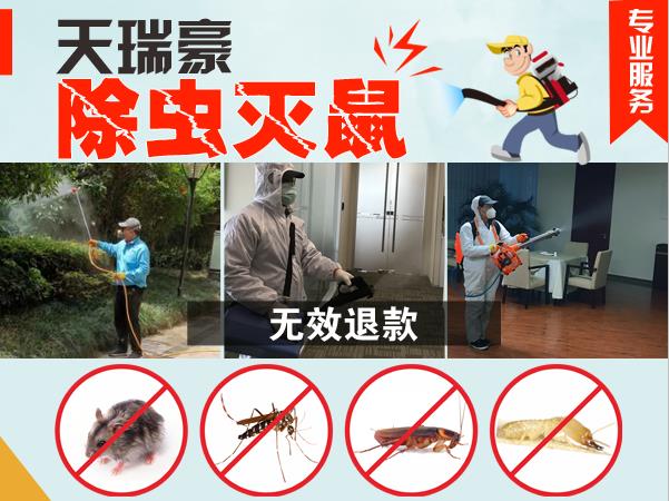 广安三圣村灭蚊蝇 欢迎咨询