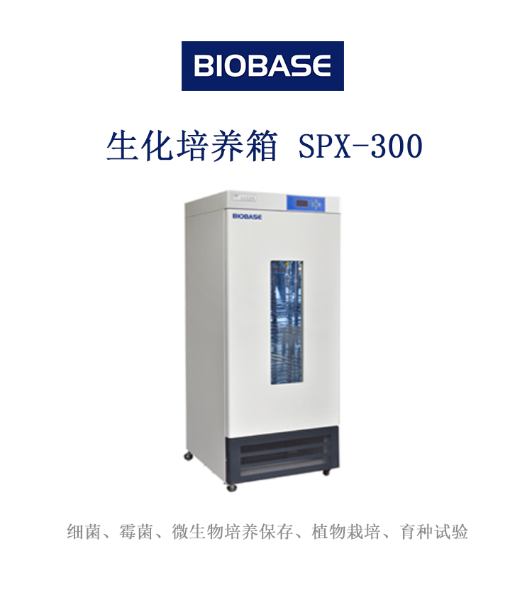 博科生化培养箱SPX-300