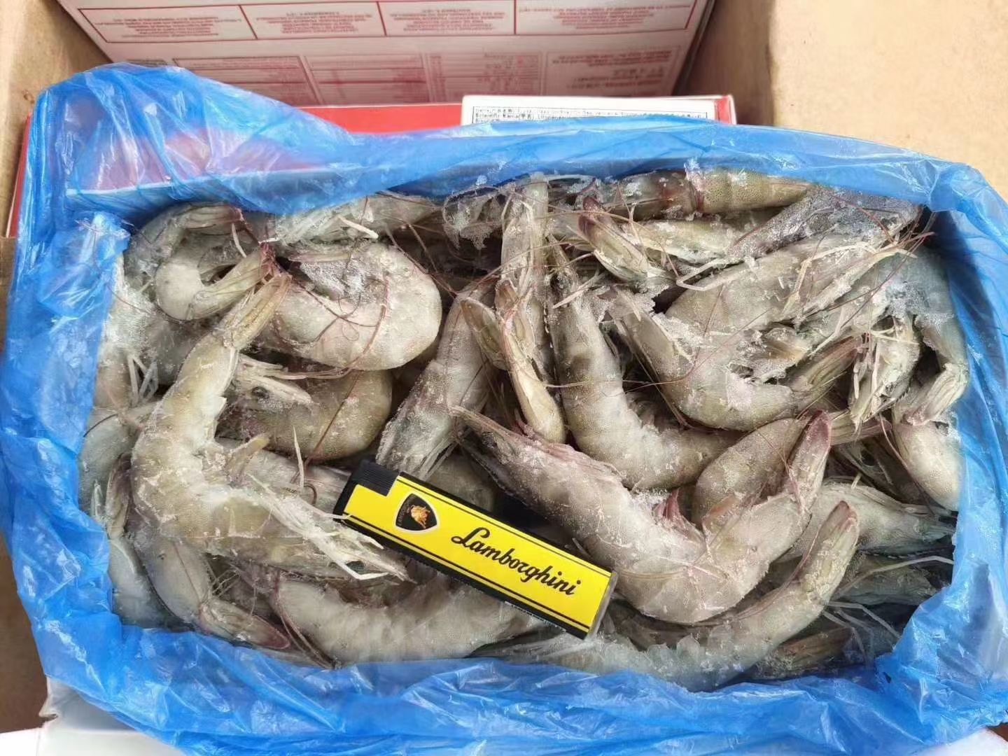專注冷凍海鮮進口 蘇州港冷凍白對蝦進口清關報關公司