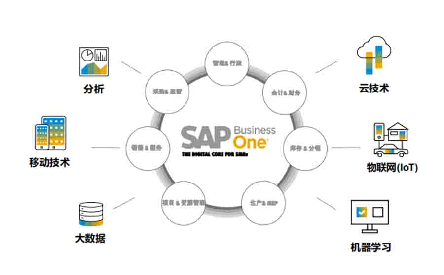 浙江地区SAP Business One代理商 宁波达策