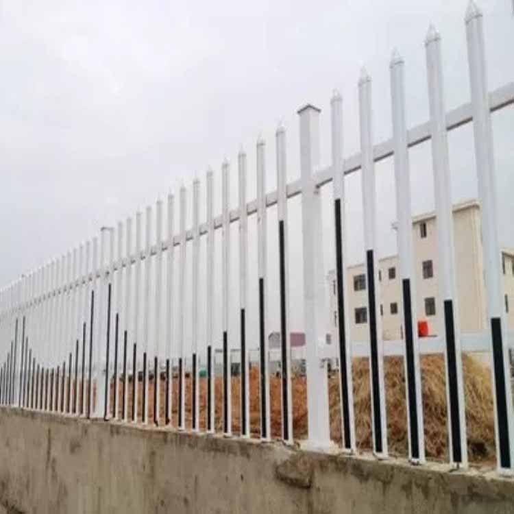 泰州喷塑围墙护栏供应
