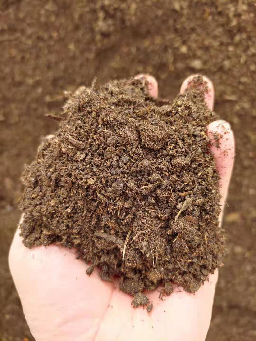 纯羊粪**肥效果 活性土壤除臭灭菌