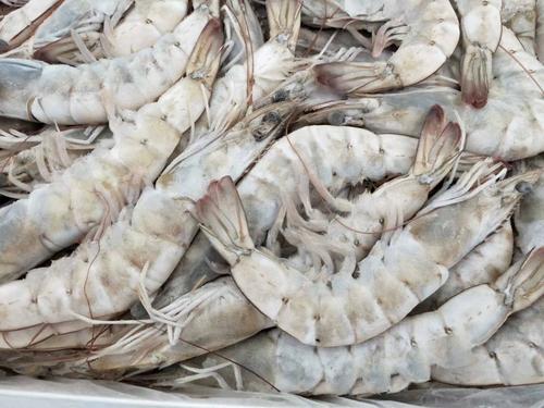 泰国冷冻白对虾进口清关国外货源