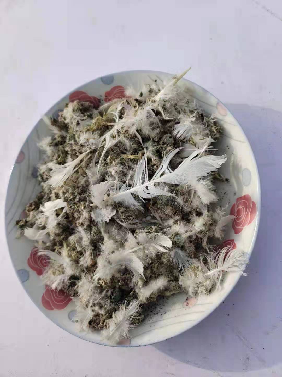 果蔬种植 北京晒干鸽子粪作用