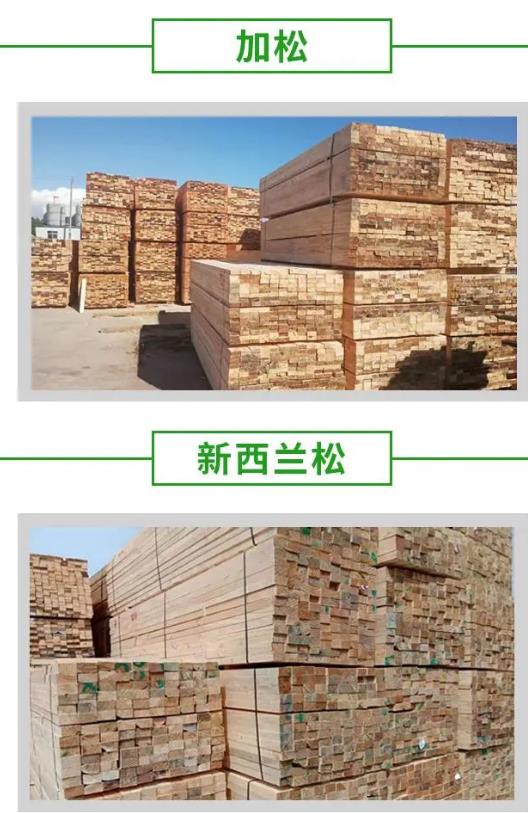 扬州建筑用的木方,5X10方木