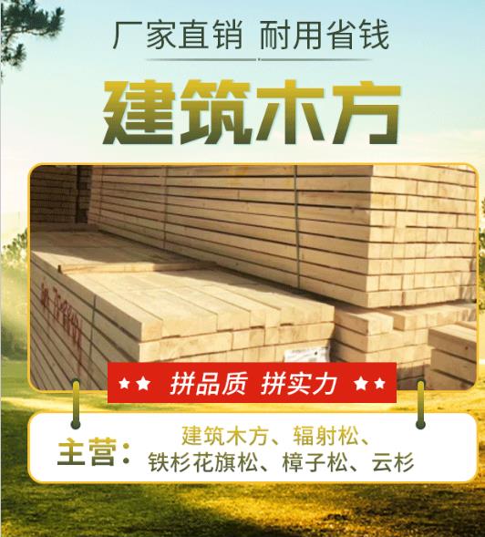 扬州木方厂家,5X10方木