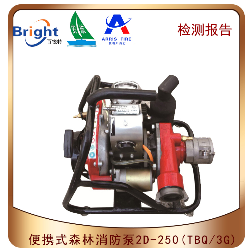 2D-250便携式高压接力森林消防泵
