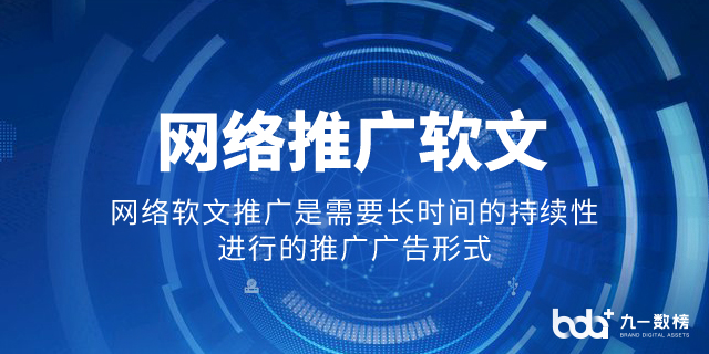 东城区网络推广* 客户至上 北京九一数榜科技供应