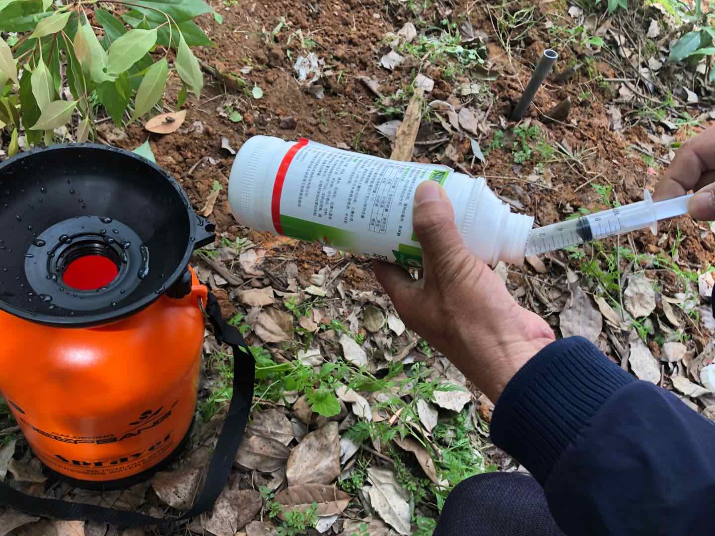 漢南區單位滅白蟻公司