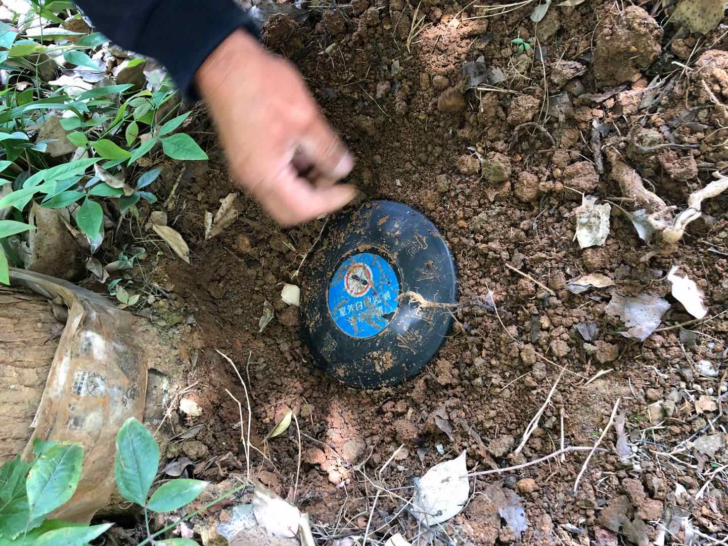 漢南區單位滅白蟻公司