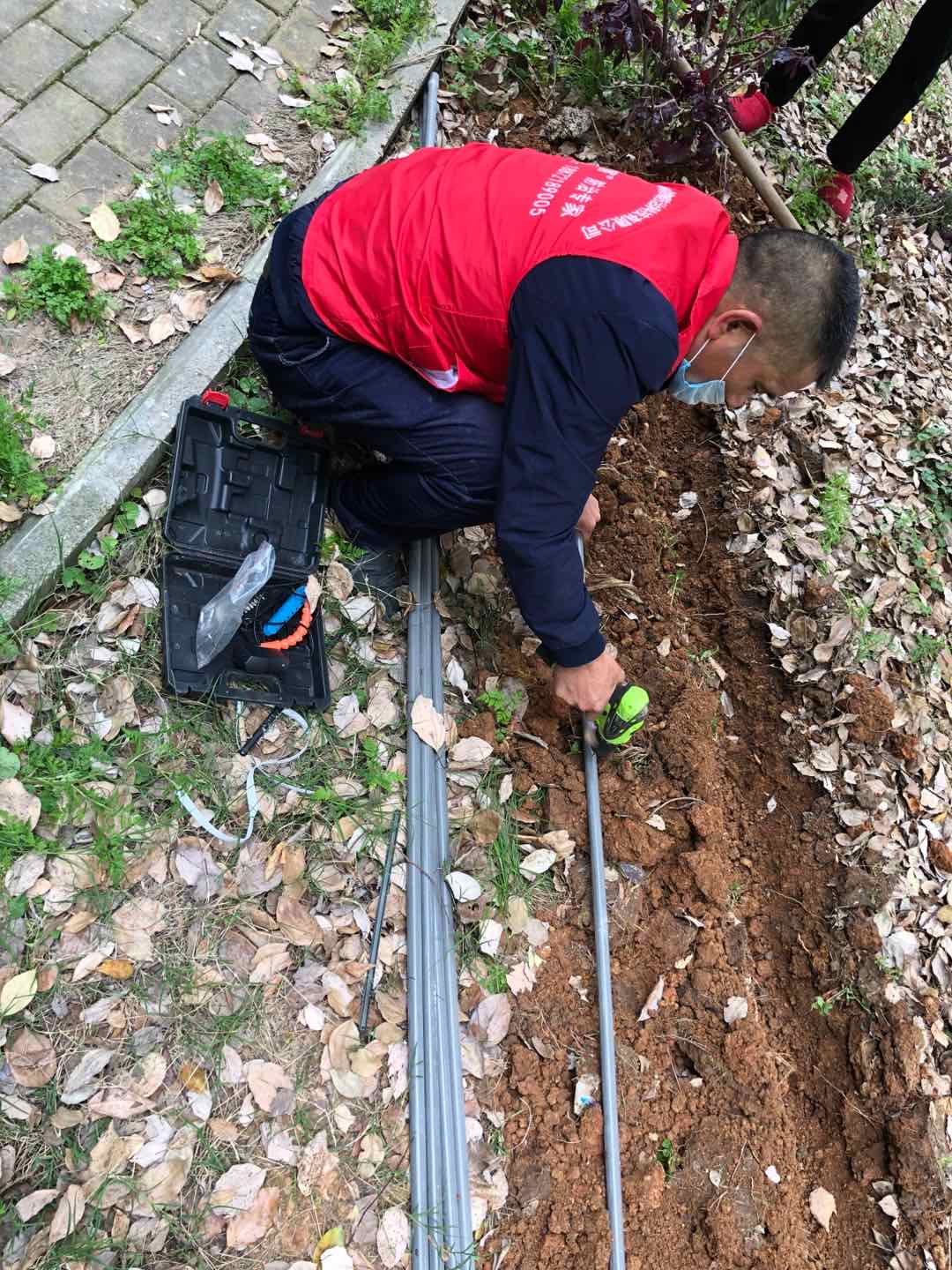 青山區除白蟻費用