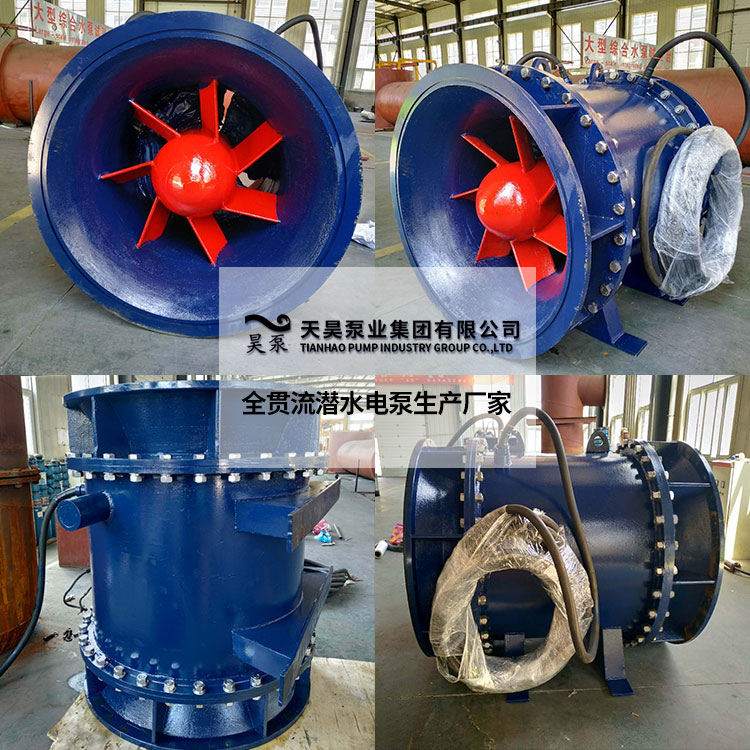 广水市电厂用600QGWZ-125全贯流潜水电泵天昊泵业