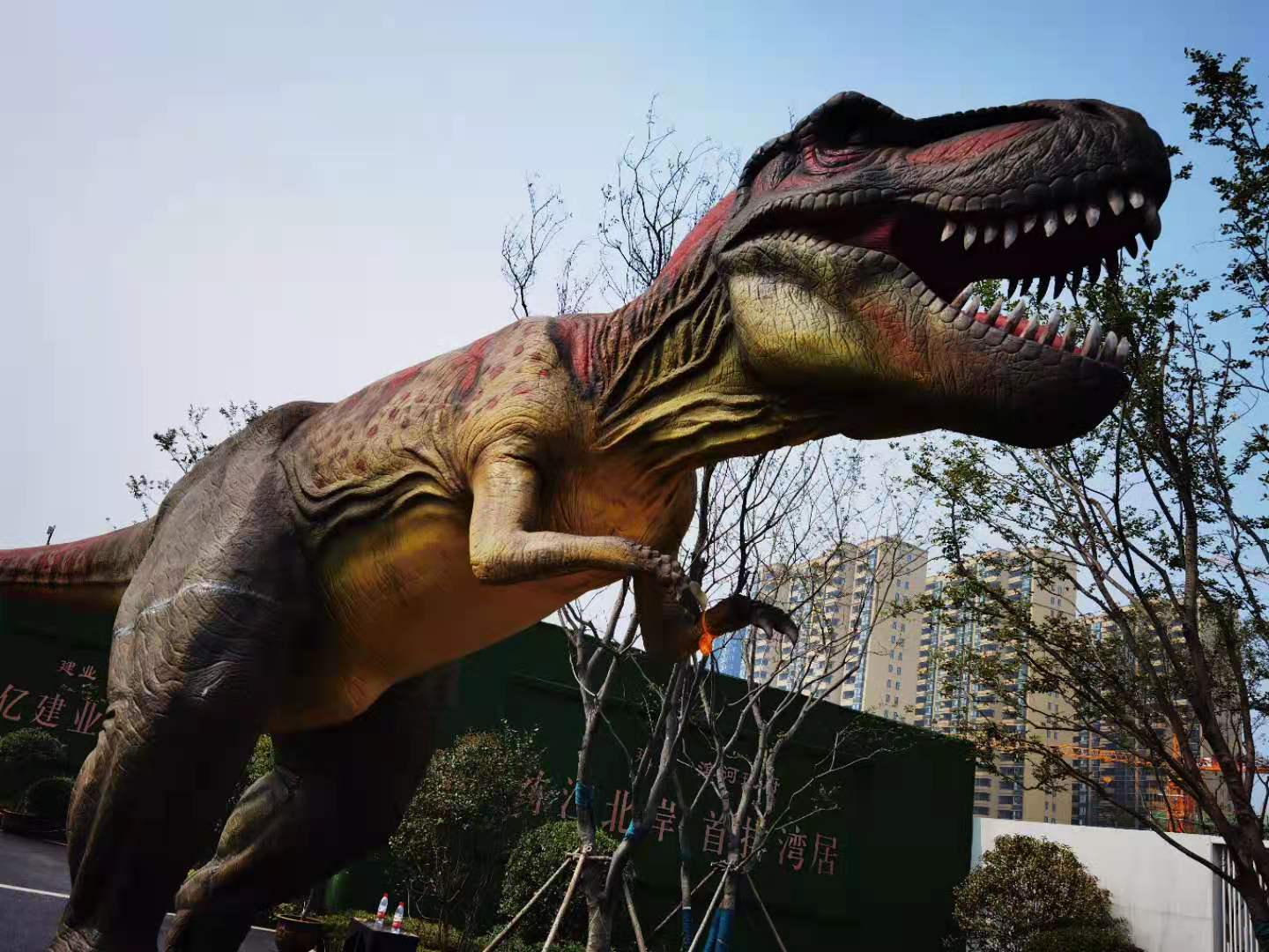 恐龙模型道具恐龙模型租赁报价 恐龙模型道具