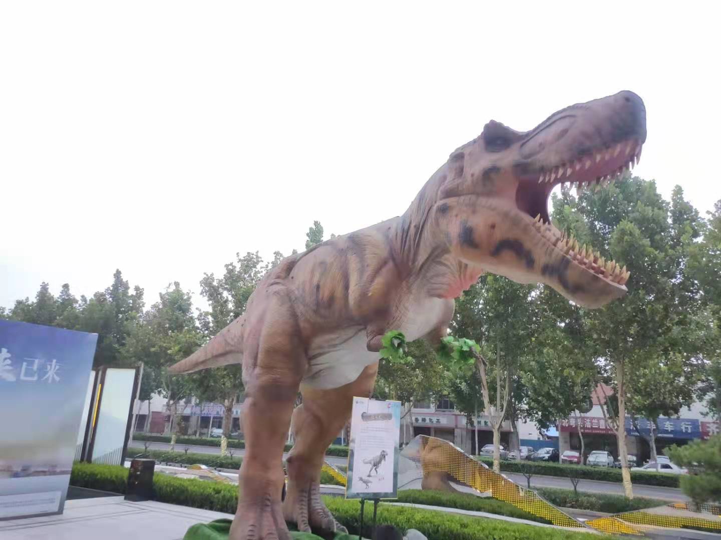大型恐龙展恐龙模型租赁出租 恐龙模型道具