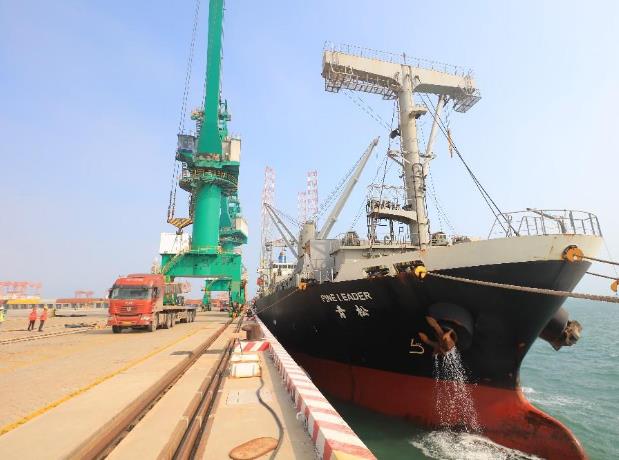 天津散货船进出口海运操作流程|价格实惠