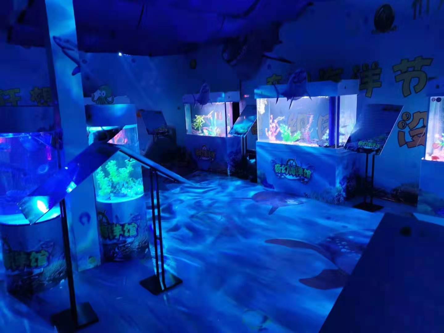 海洋展