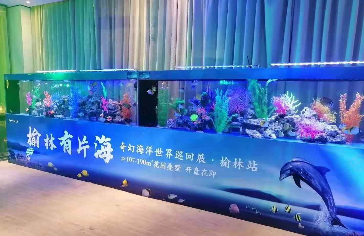 水母展览海洋生物供应商