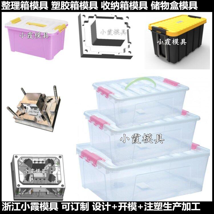 台州做模具厂家储藏箱子模具整理箱模具商家