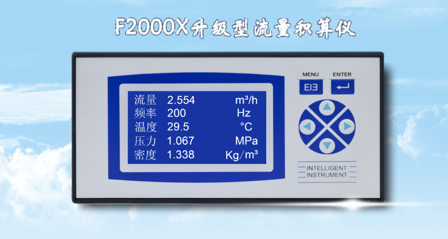 上海有恒F2000X-A3-I1-R2-PWA-VAC型升级型积算仪控制仪