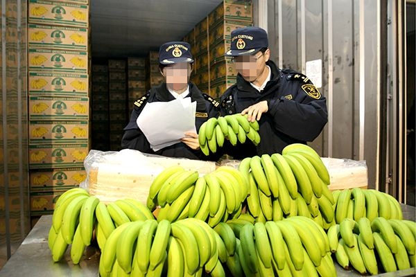 天津进口香蕉清关需要的资料 **一站式进口供应链服务商
