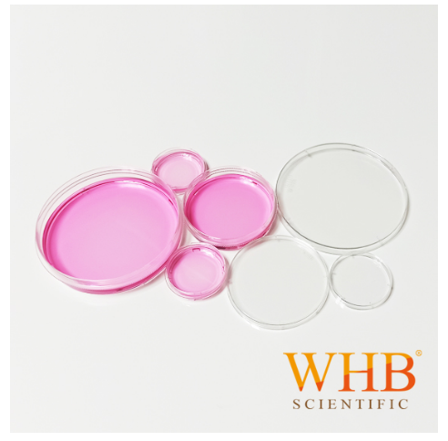 WHB-35 细胞培养皿 35/60/100/150多种规格可选