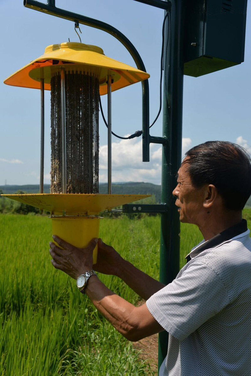果园杀虫灯
