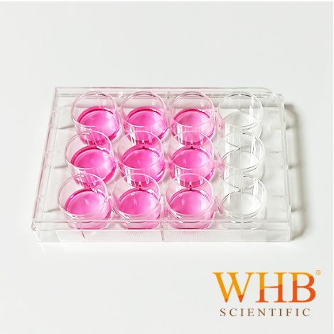WHB-6 细胞培养板 6-96孔多种规格可选