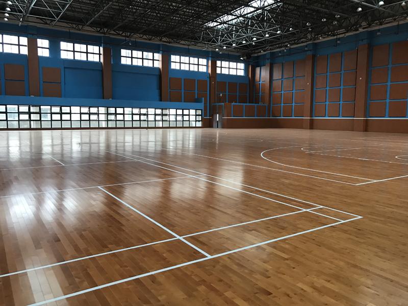 河北艺科室内篮球馆体育运动木生产商全国上门安装